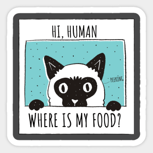 Hi human,Where is my food? (kitten,cat) Sticker